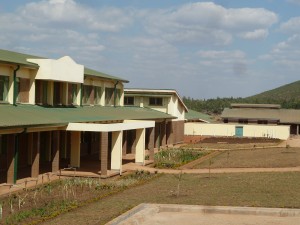 Zambia 2015 green lawn & flowers