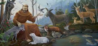 Bless Your Pets on the Feast of St. Francis of Assisi - Saint Patrick ...