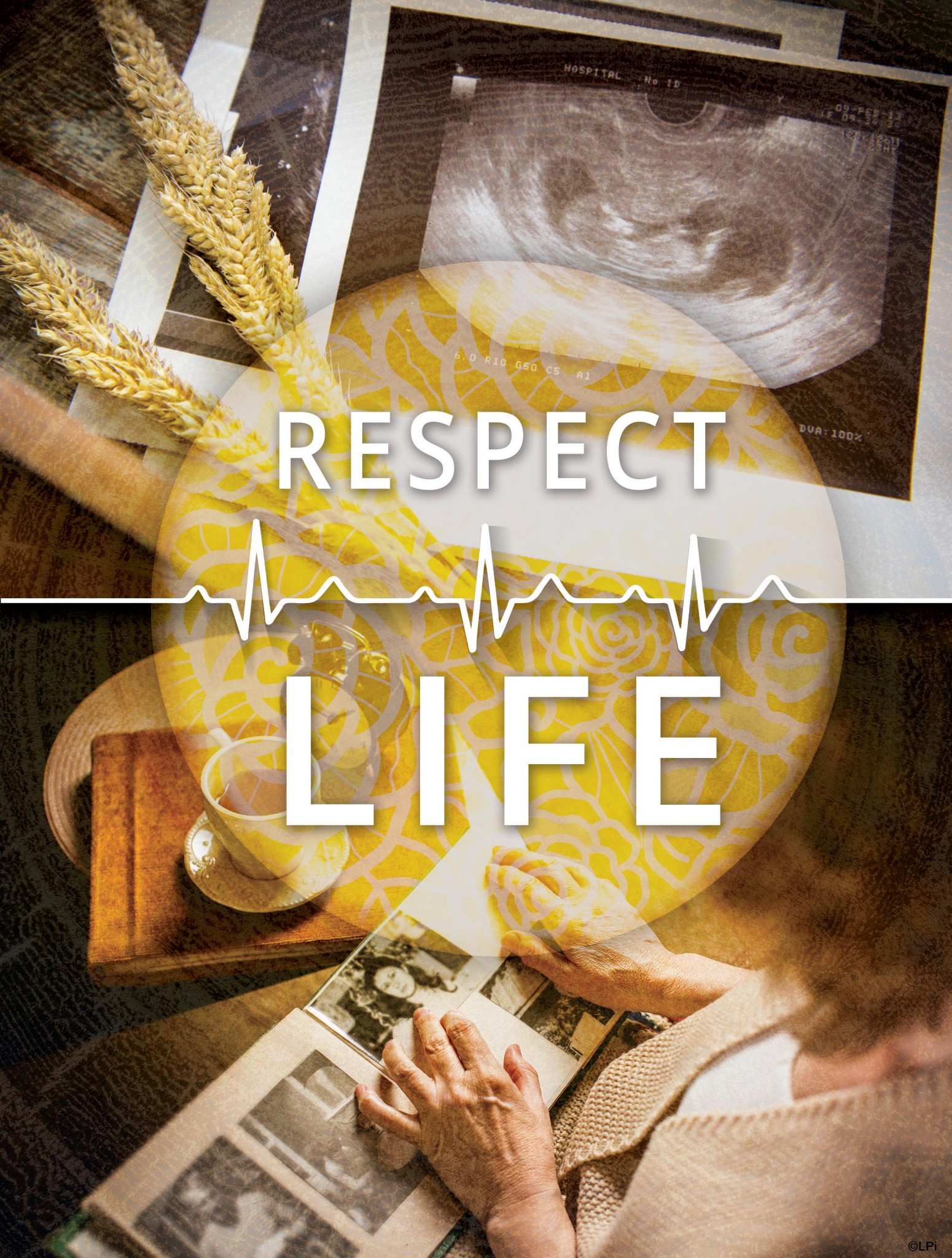 Respect Life Sunday Saint Patrick Catholic Church